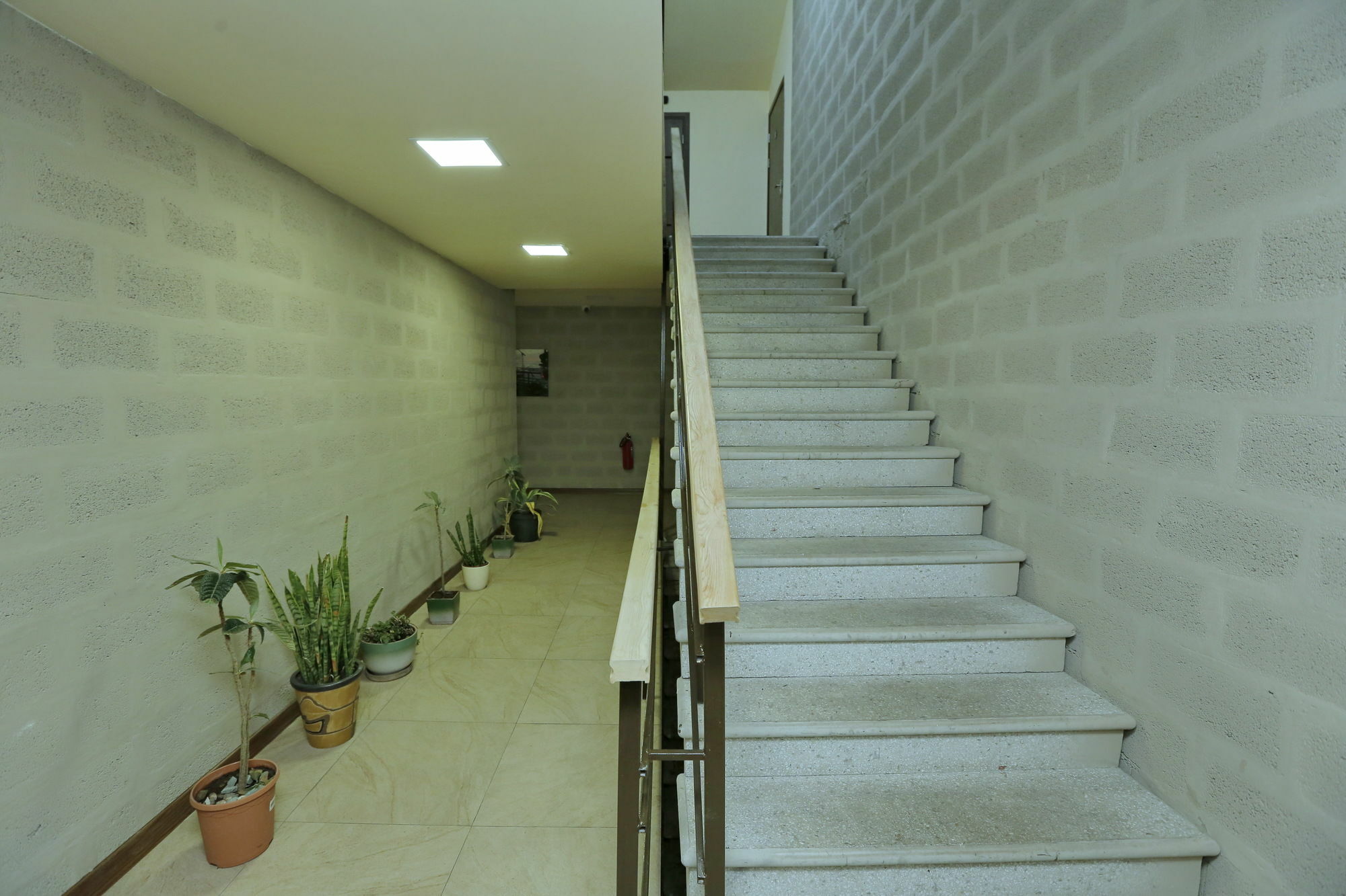 Grammy Apartments City Center Erivan Dış mekan fotoğraf
